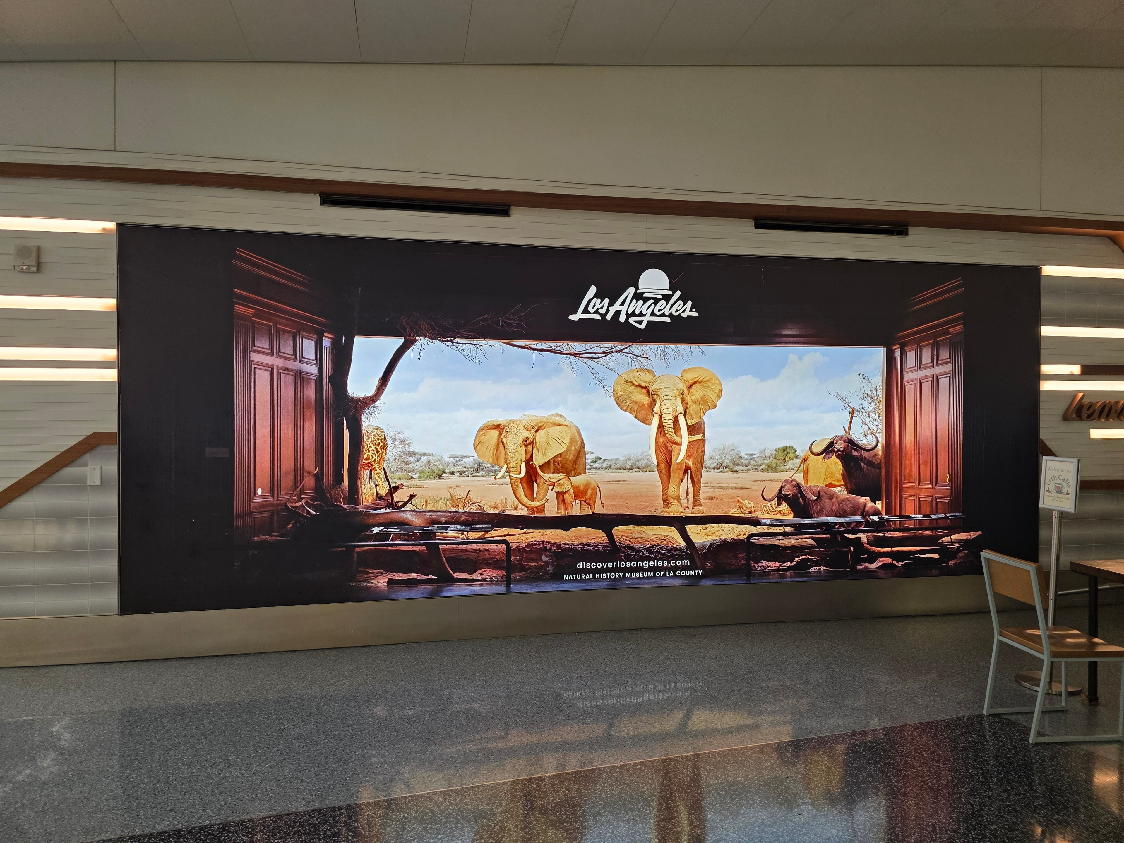 Digital Signage & Art Installation